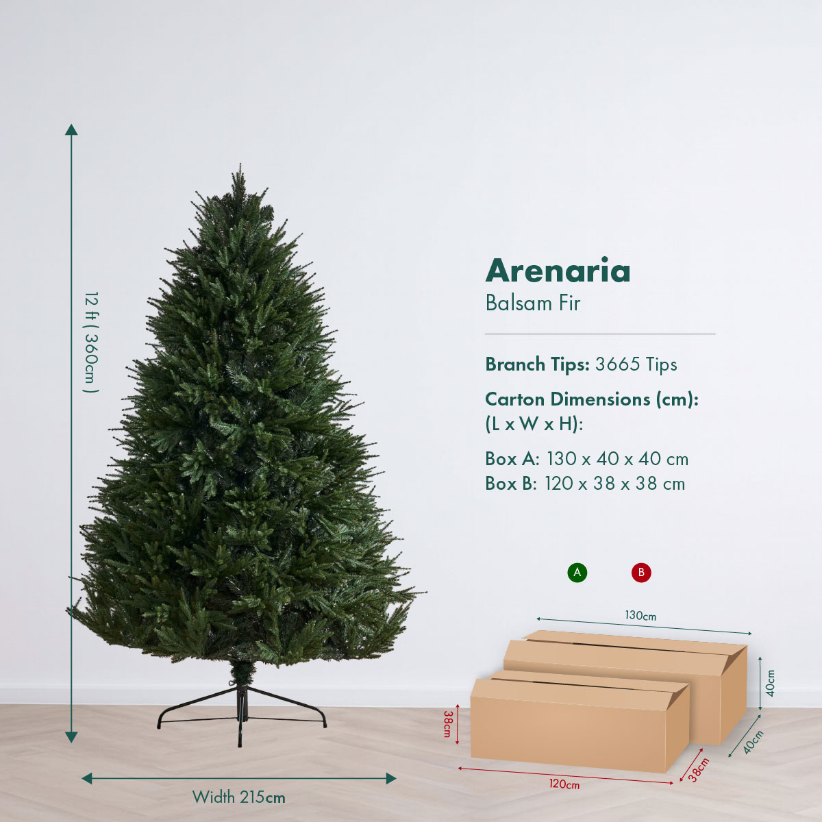 NEW 2026 Arenaria Balsam Fir R1_12ft
