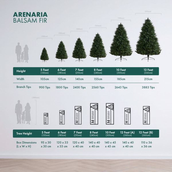 Tree Height and Packaging Comparison Tables Arenaria Balsam Fir