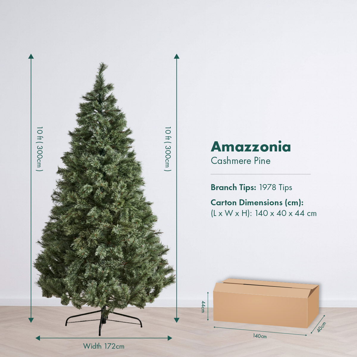 NEW 2026 56 Amazzonia R1_10ft