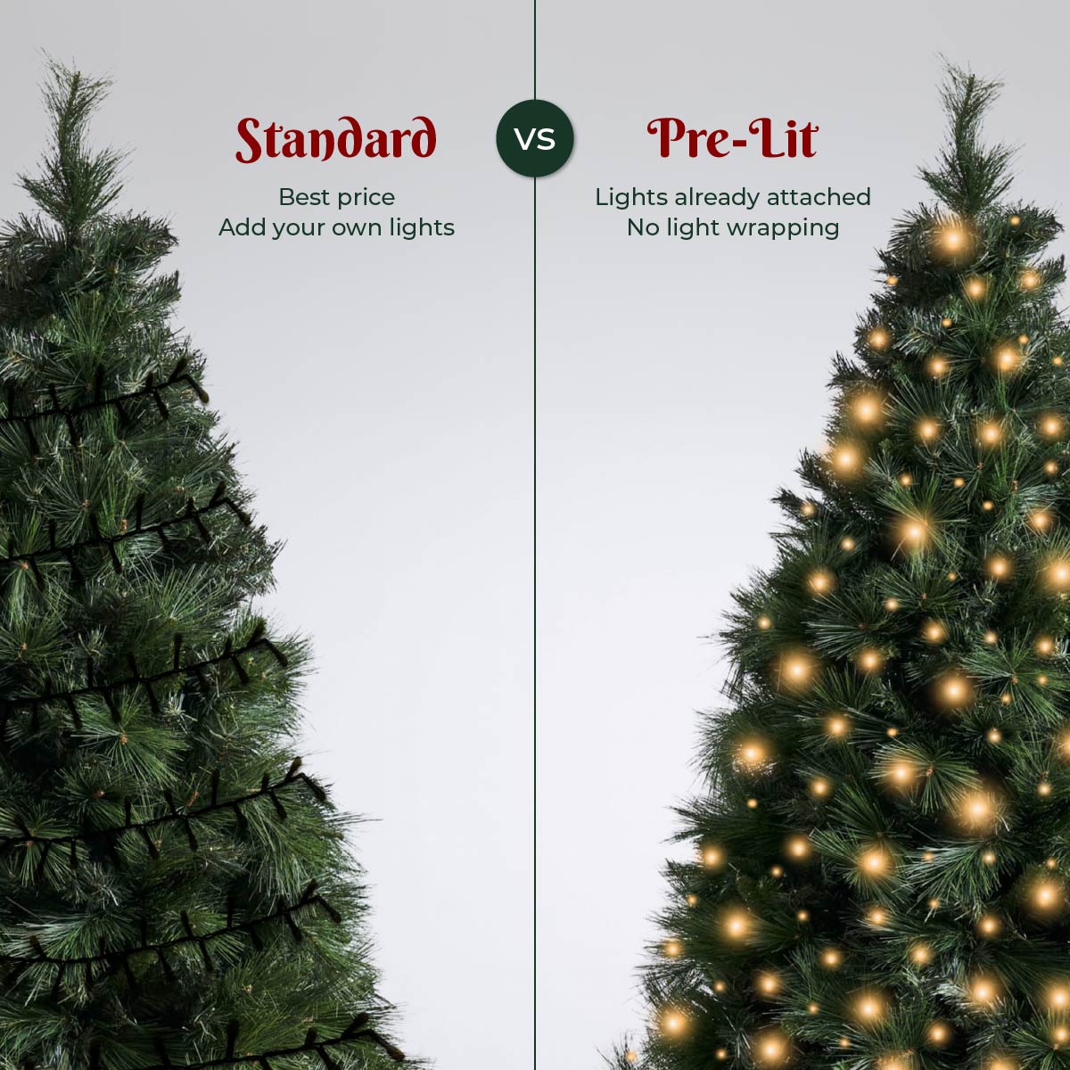 Abaco Giant Needle Pine Christmas Tree Starter Kit (5ft / 6ft) - Image 6