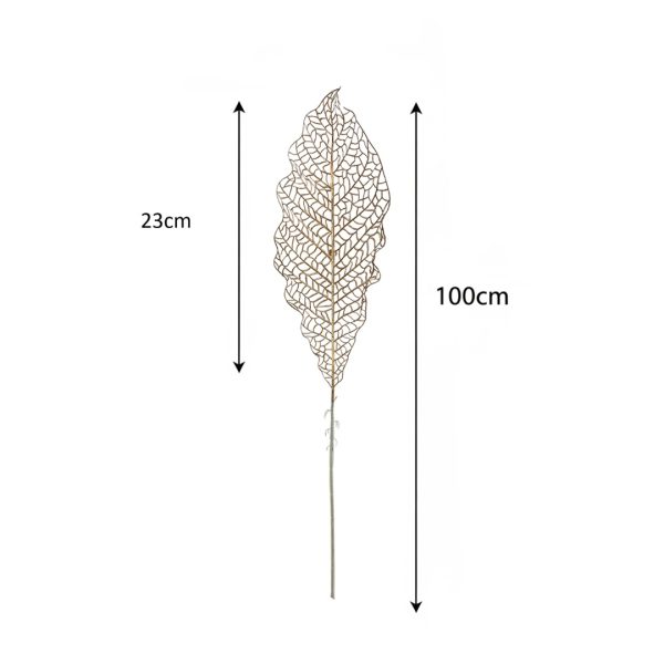 Adana Ginger Leaf Dimensions
