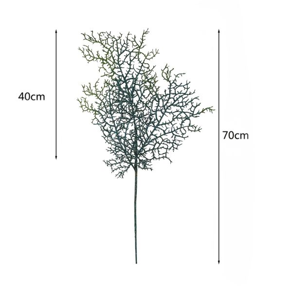 Coral Spray Green Dimensions