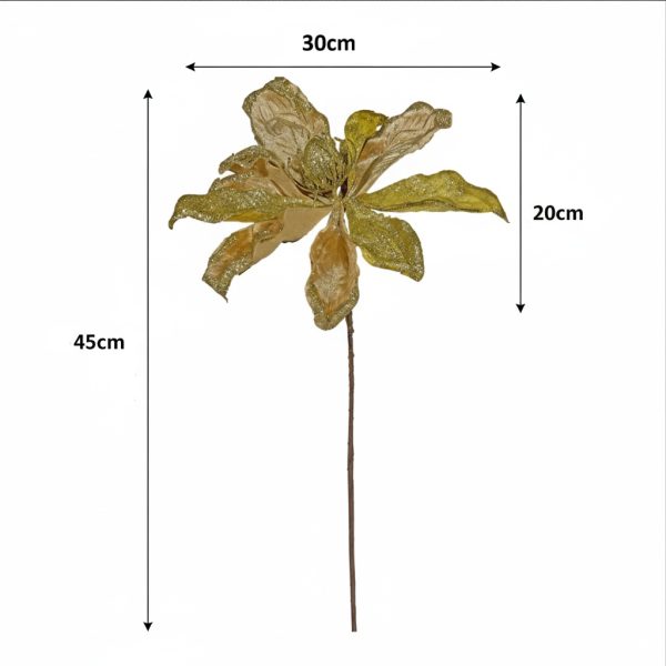 Elizabeth Magnolia Gold Dimensions