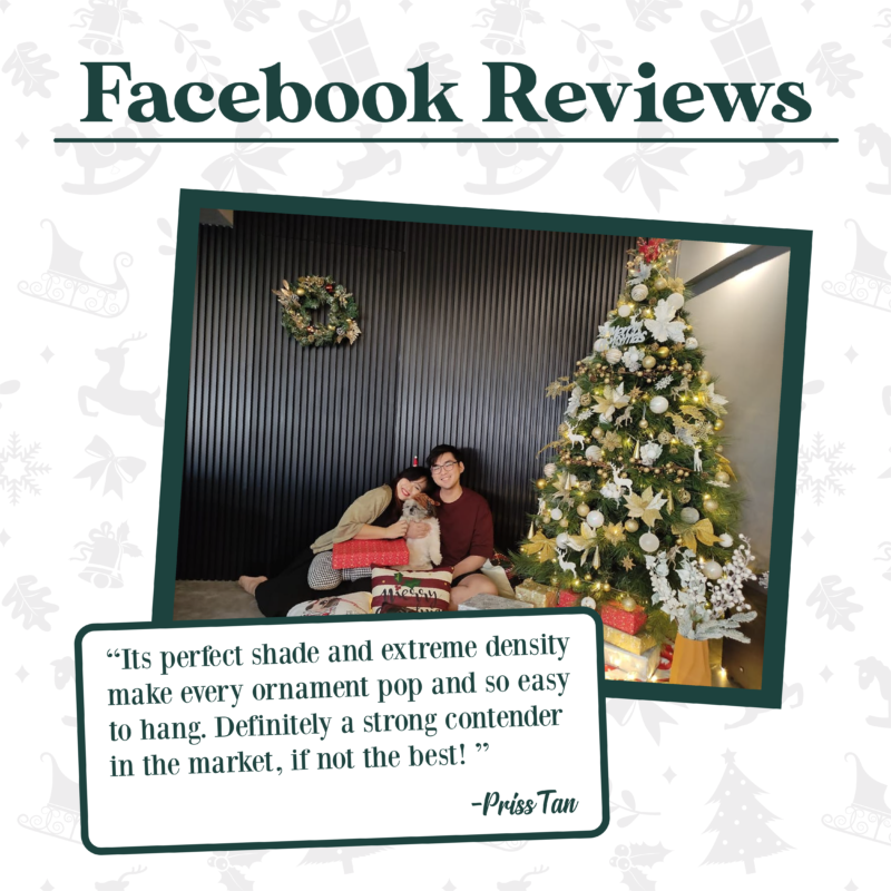 Reviews Christmas Tree Singapore Trees And Ornaments In At Masons Home Decor - Mason Home Decor Christmas Tree Review