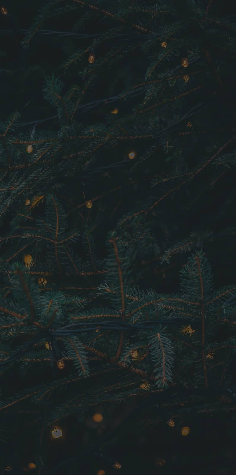 Christmas Tree Singapore | #1 Christmas Trees in Singapore