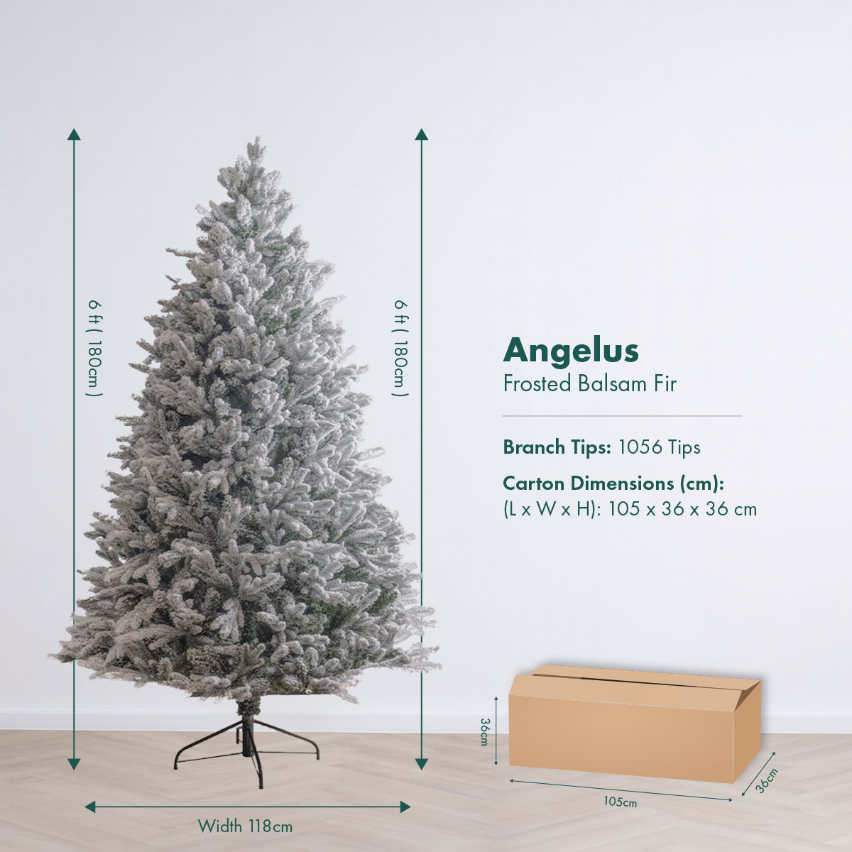 NEW 2026 56 Angelus R1_6ft