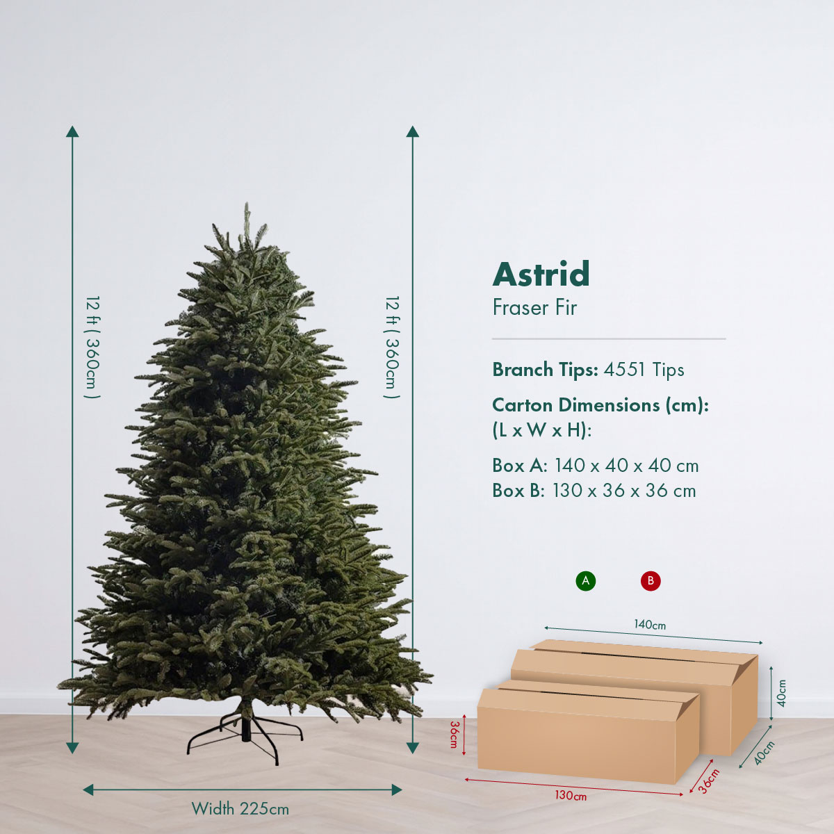 NEW 2026 Astrid R1_12ft