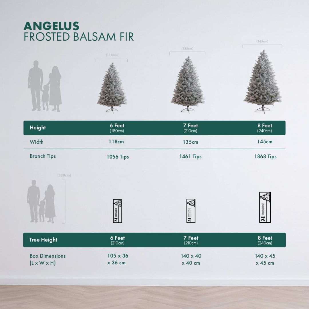 Angelus - Frosted Balsam Fir - Image 2