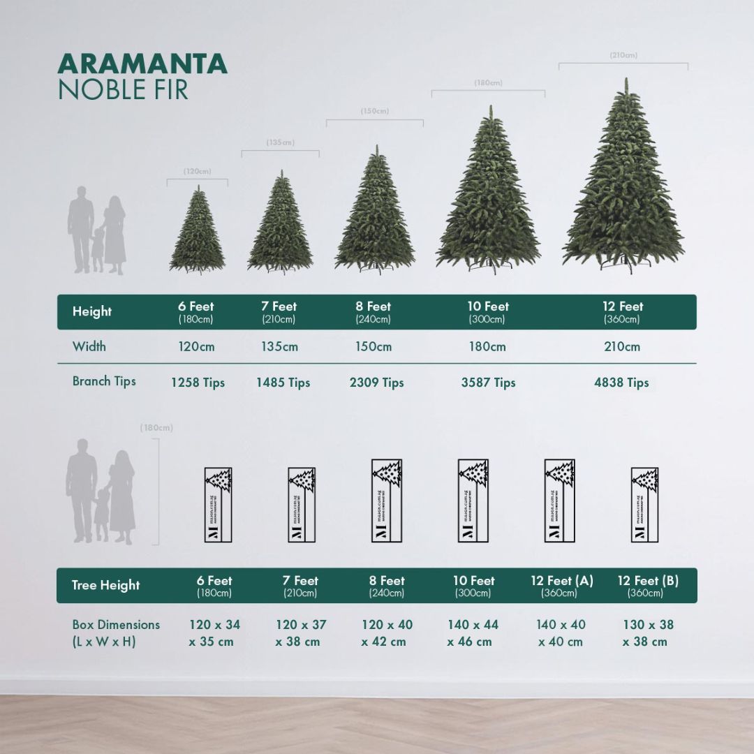 Aramanta - Noble Fir - Image 2