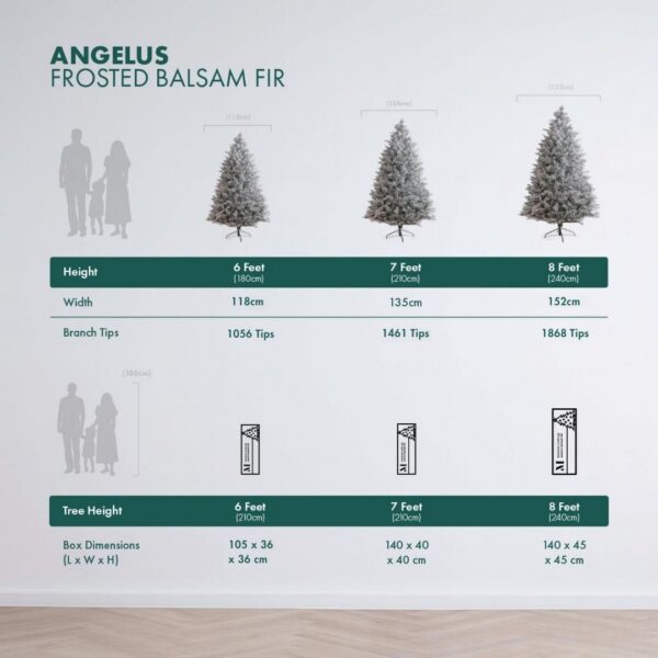 Angelus height and packaging comparison