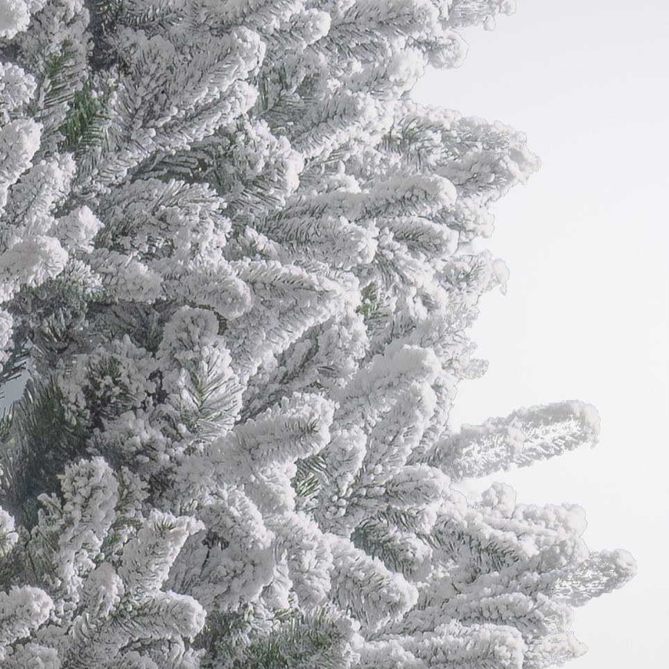 angelus frosted balsam fir by masons home decor christmas tree singapore 2