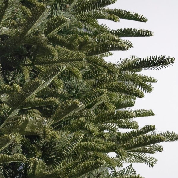 astrid fraser fir by masons home decor christmas tree singapore 2