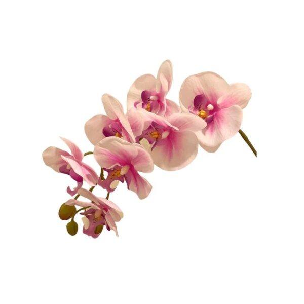 Artificial 10-Stalk Phalaenopsis Orchid Arrangement with Assorted Leaves - Cream Pink - White Pot by masons home decor singapore by masons home decor singapore