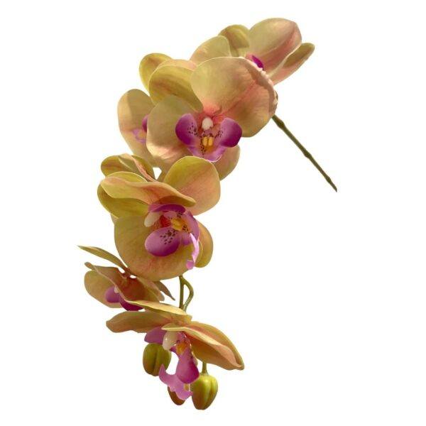 Artificial 10-Stalk Phalaenopsis Orchid Arrangement with Assorted Leaves - Green-Pink - White Pot by masons home decor singapore