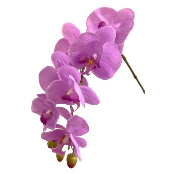 Artificial 10-Stalk Phalaenopsis Orchid Arrangement with Assorted Leaves - Lilac - White Pot by masons home decor singapore