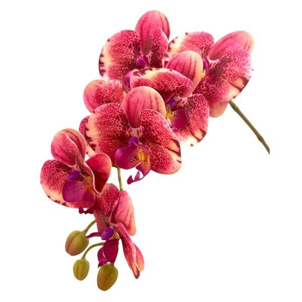 Artificial 10-Stalk Phalaenopsis Orchid Arrangement with Assorted Leaves - Magenta - White Pot by masons home decor singapore