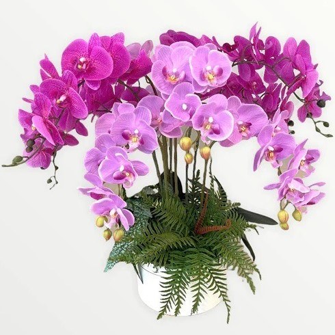 Artificial 10-Stalk Phalaenopsis Orchid Arrangement with Assorted Leaves - Mix of Beauty (Purple) and Lilac - White Pot by masons home decor singapore