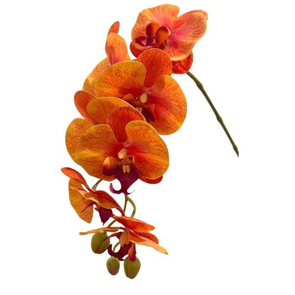 Artificial 10-Stalk Phalaenopsis Orchid Arrangement with Assorted Leaves - Orange - White Pot by masons home decor singapore