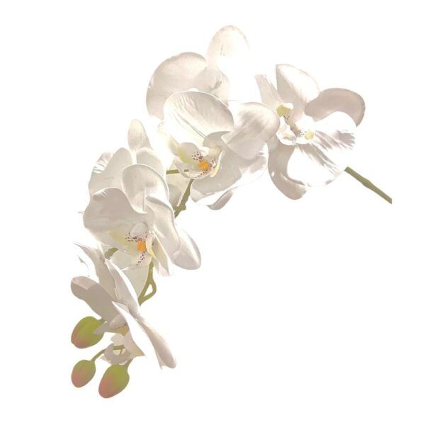 Artificial 10-Stalk Phalaenopsis Orchid Arrangement with Assorted Leaves - White - White Pot by masons home decor singapore