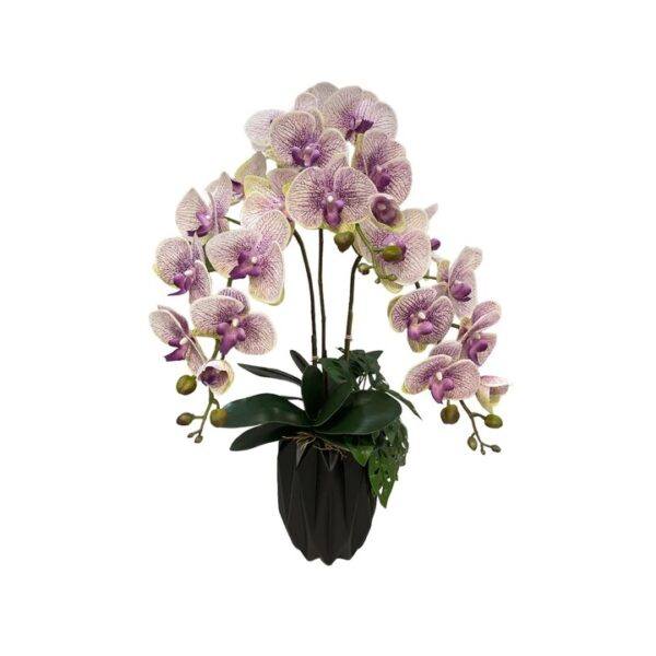 Artificial 3-Stalk Phalaenopsis Orchid Arrangement with Mini Monstera - Spotted Purple - Black Pot by masons home decor singapore