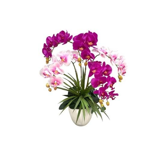 Artificial 5-Stalk Phalaenopsis Orchid Arrangement with Long Orchid Leaves - Mix of Beauty (Purple) and Cream-Pink - White Pot by masons home decor singapore