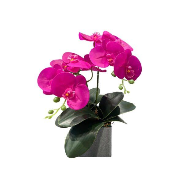 Artificial Mini Double-Stalk Phalaenopsis Orchid Arrangement- 0.4m - Pot Grey - Beauty (Purple)