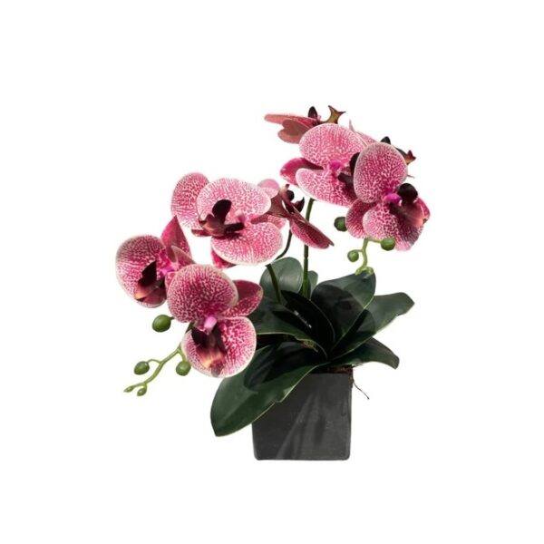 Artificial Mini Double-Stalk Phalaenopsis Orchid Arrangement- 0.4m - Pot Grey - Spotted Magenta