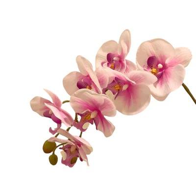 Artificial Phalaenopsis Orchid Arrangement with Solanum Mammosum - 0.8m - Pot Teal - Cream-Pink