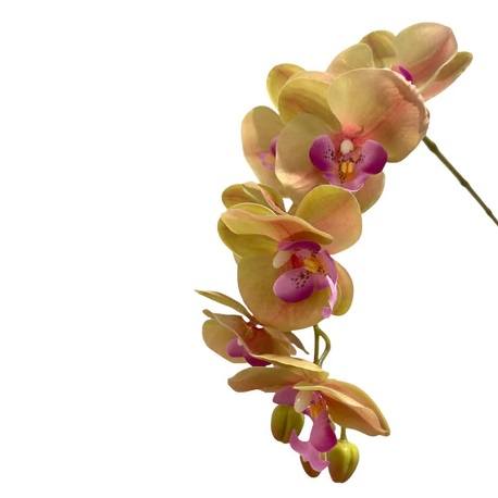 Artificial Phalaenopsis Orchid Arrangement with Solanum Mammosum - 0.8m - Pot Teal - Green-Pink