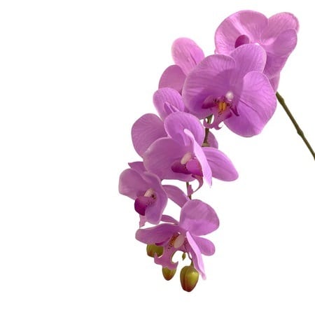 Artificial Phalaenopsis Orchid Arrangement with Solanum Mammosum - 0.8m - Pot Teal - Lilac