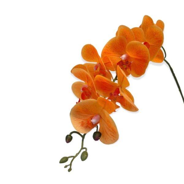 Artificial Phalaenopsis Orchid Arrangement with Solanum Mammosum - Orange - Teal Textured Ceramic Pot 2 by masons home decor singapore