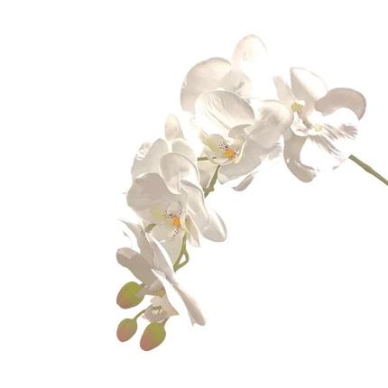 Artificial Phalaenopsis Orchid Arrangement with Solanum Mammosum - 0.8m - Pot Teal - White