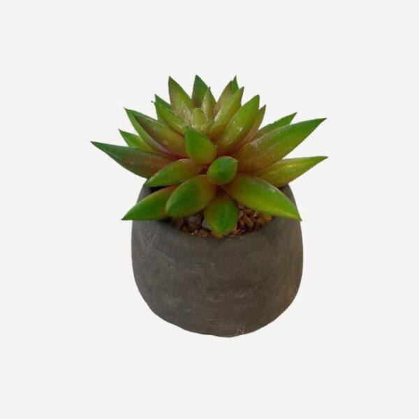 Artificial Potted Echeveria Agavoides - Grey Pot by masons home decor singapore
