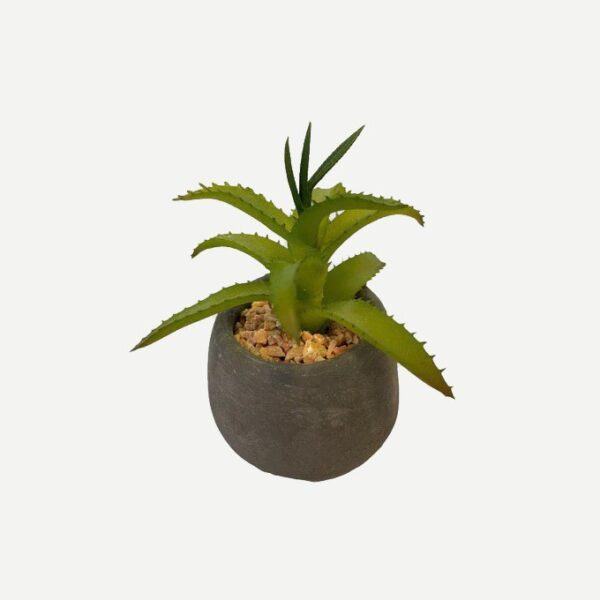Artificial Potted Mini Aloe - Grey Pot by masons home decor singapore