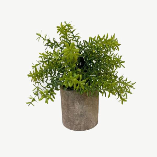 Artificial Potted Mini Plant - Rosemary - Grey Pot by masons home decor singapore