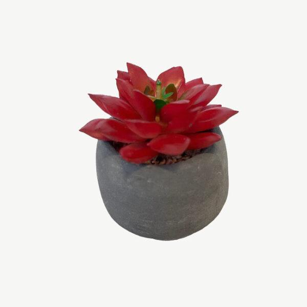 Artificial Potted Mini Succulent - Red Echeveria - Grey Pot by masons home decor singapore