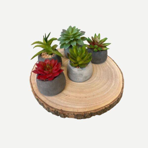 Artificial Potted Mini Succulents - Set of 5 (Assorted) - Grey Pot - With 1 Wood Slice by masons home decor singapore