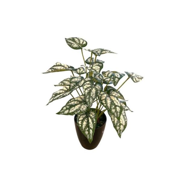 Artificial Caladium Bush - Black Pot by masons home decor singapore
