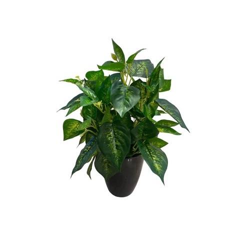 Artificial Dieffenbachia - Black Pot by masons home decor singapore