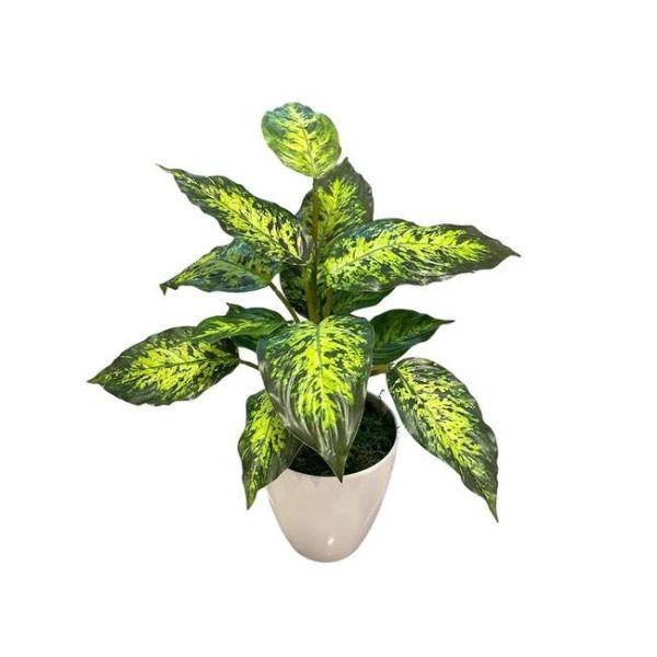 Artificial Dieffenbachia Bush - White Pot by masons home decor singapore