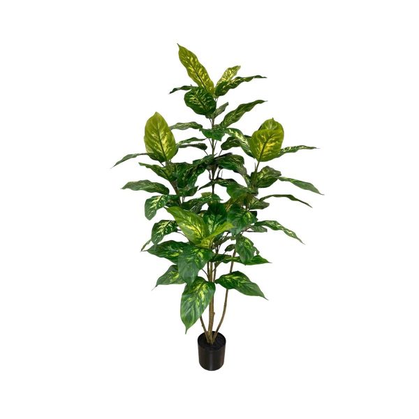 Artificial Dieffenbachia Plant - 1.2m - Black Basic Pot by masons home decor singapore
