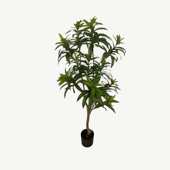 Artificial Dracaena Reflexa - Black Basic Pot by masons home decor singapore