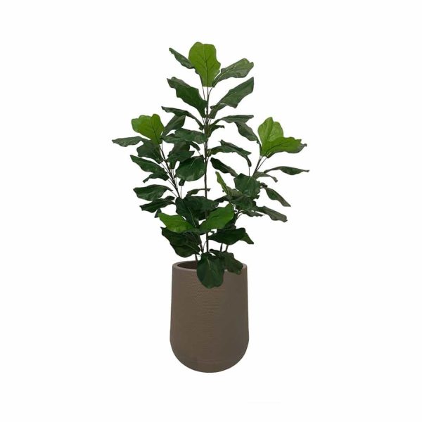 Artificial Fiddle Tree - 1.2m - Short Brown Textured Pot by masons home decor singapore