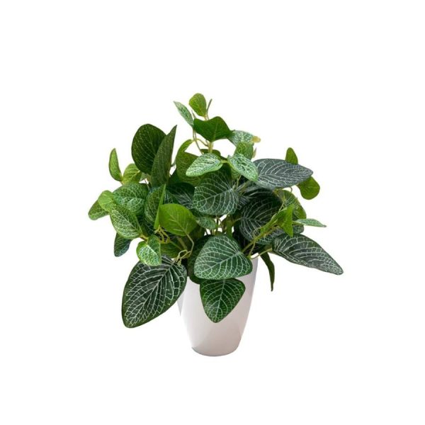 Artificial Fittonia - White Pot 1 by masons home decor singapore