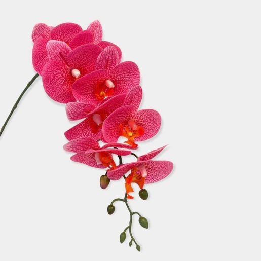 Artificial Phalaenopsis Orchid Arrangement with Solanum Mammosum - Spotted Coral - Teal Textured Ceramic Pot by masons home decor singapore