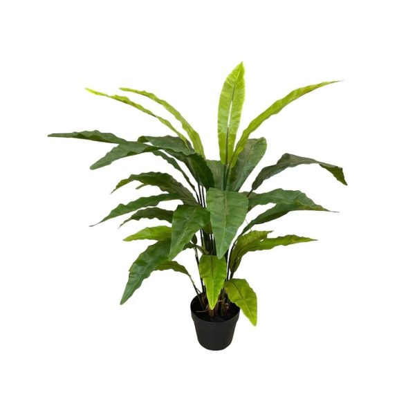 Artificial Potted Bird's Nest Fern - Basic Black Pot by masons home decor singapore
