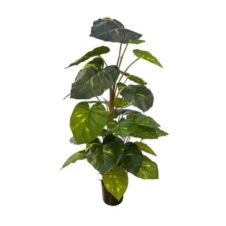 Artificial Potted Pothos - Basic Black Pot by masons home decor singapore