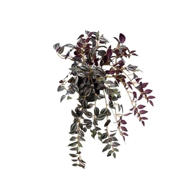 Artificial Purple Wandering Jew Bush - 0.3m - Pot Black