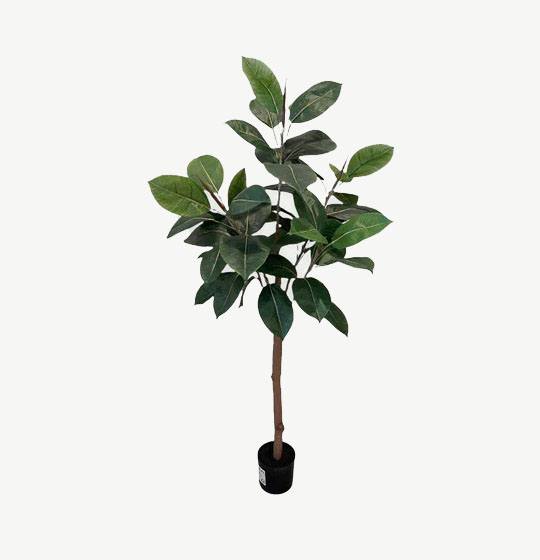 Artificial Rubber Plant - 1.2m - Basic Black Pot by masons home decor singapore