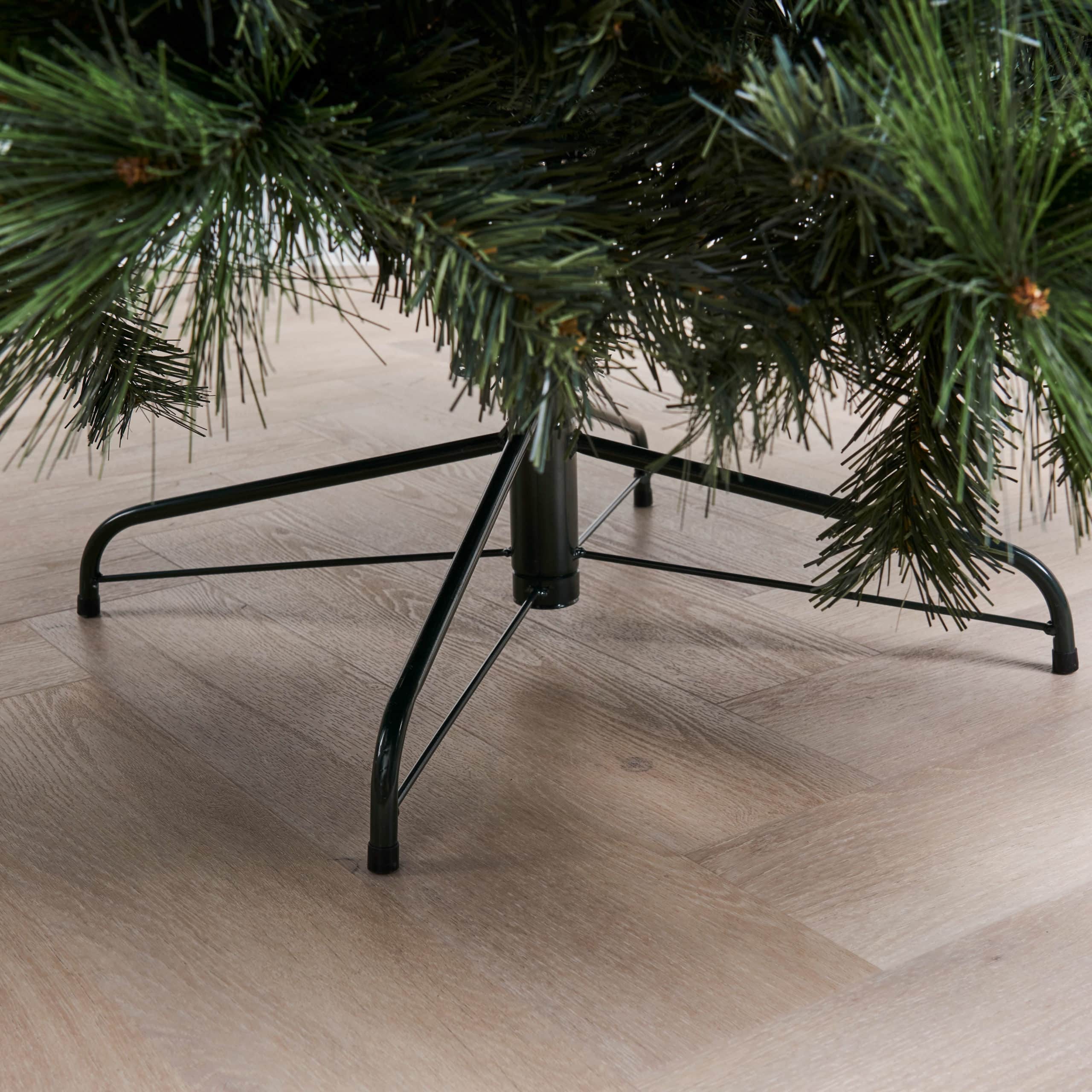 Abaco - Giant Needle Pine - Image 4